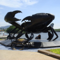 Home Decoration Art Craft Life Size Bronze Fiddler Crab Sculpture